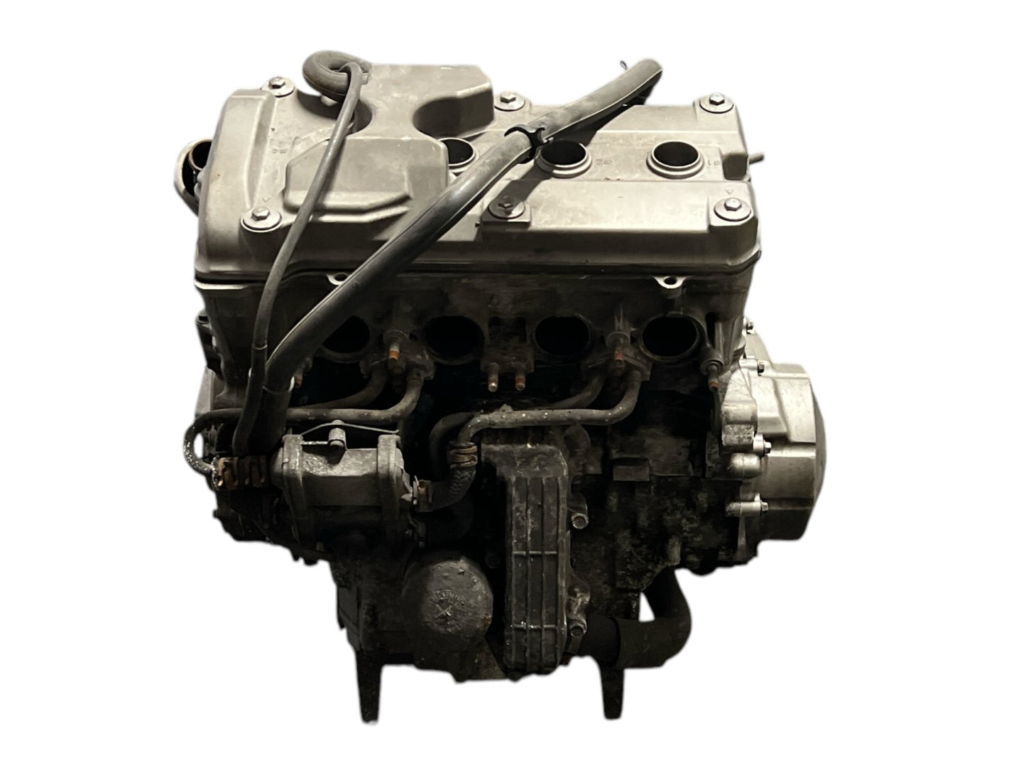 7502647